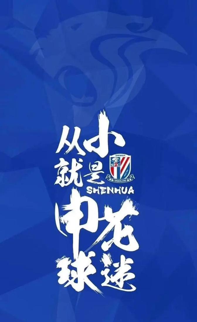 申花外援状态神勇，有望帮助球队取得好成绩