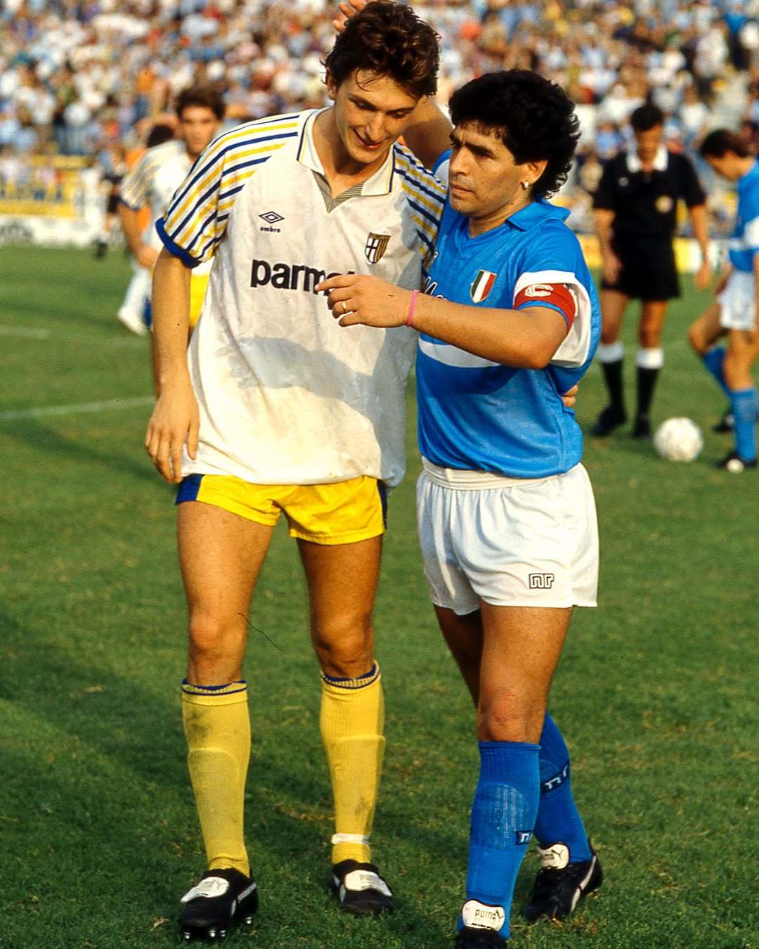 看好帕尔马再获胜,保级形势向好的简单介绍 看好帕尔马再获胜,保级形势向好的简单介绍